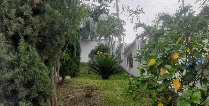 Cítricos y flores en el jardín de la casa quinta