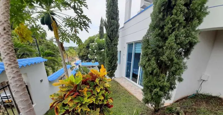 Jardín lateral con crotos, papayo y cipreses